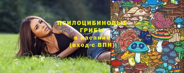 метадон Горняк