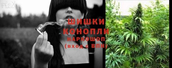 молекула духа Горно-Алтайск