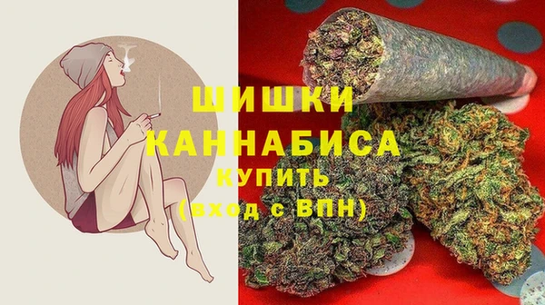 прущие крисы Гусев