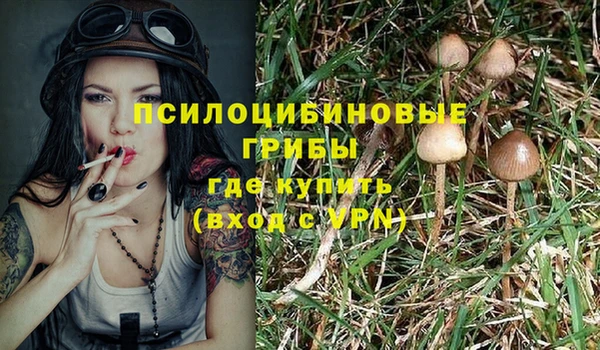 молекула духа Горно-Алтайск
