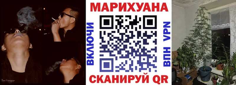 где купить наркоту  Жигулёвск  кракен зеркало  Бошки марихуана план 